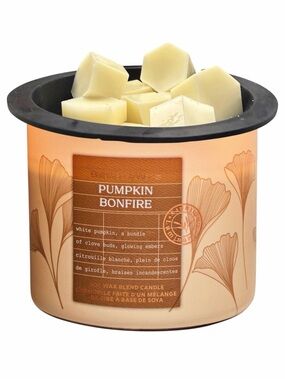 Wax Melts 4oz - Bath and Body Works - Pumpkin Bonfire